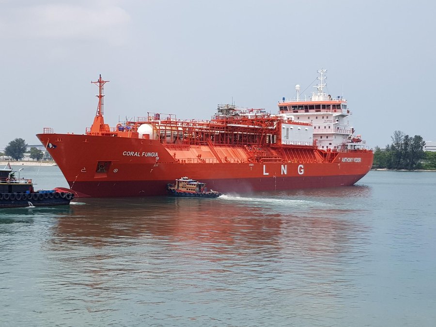 Ship Expected: CORAL FUNGIA for Forth Braefoot Terminal 