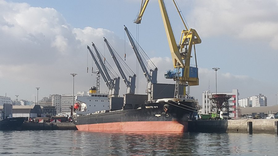 In the English Channel for Foynes circa 12/12/2025 - WHITE IVY