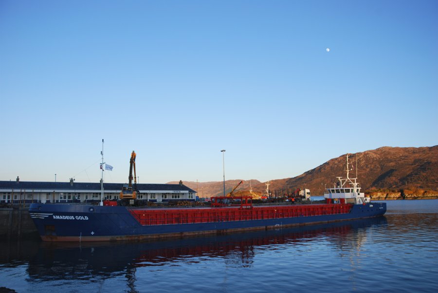 Ship Expected: AMADEUS GOLD         for Ayr 