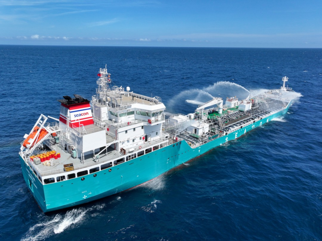 Humber Departure: GOLDEN CEDAR        