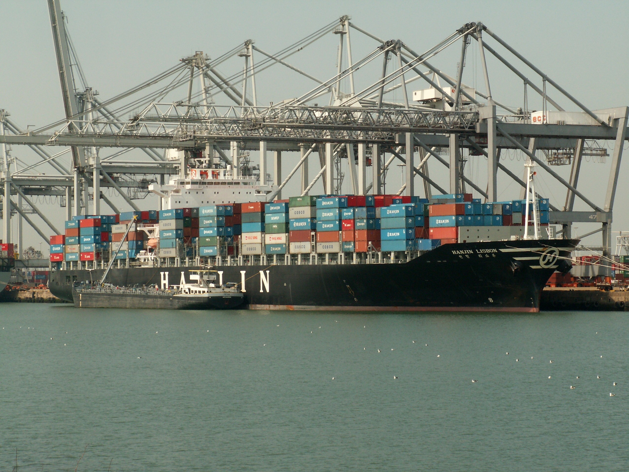 Transit: MSC PILAR VI         entering English South Coast at The Dover Strait