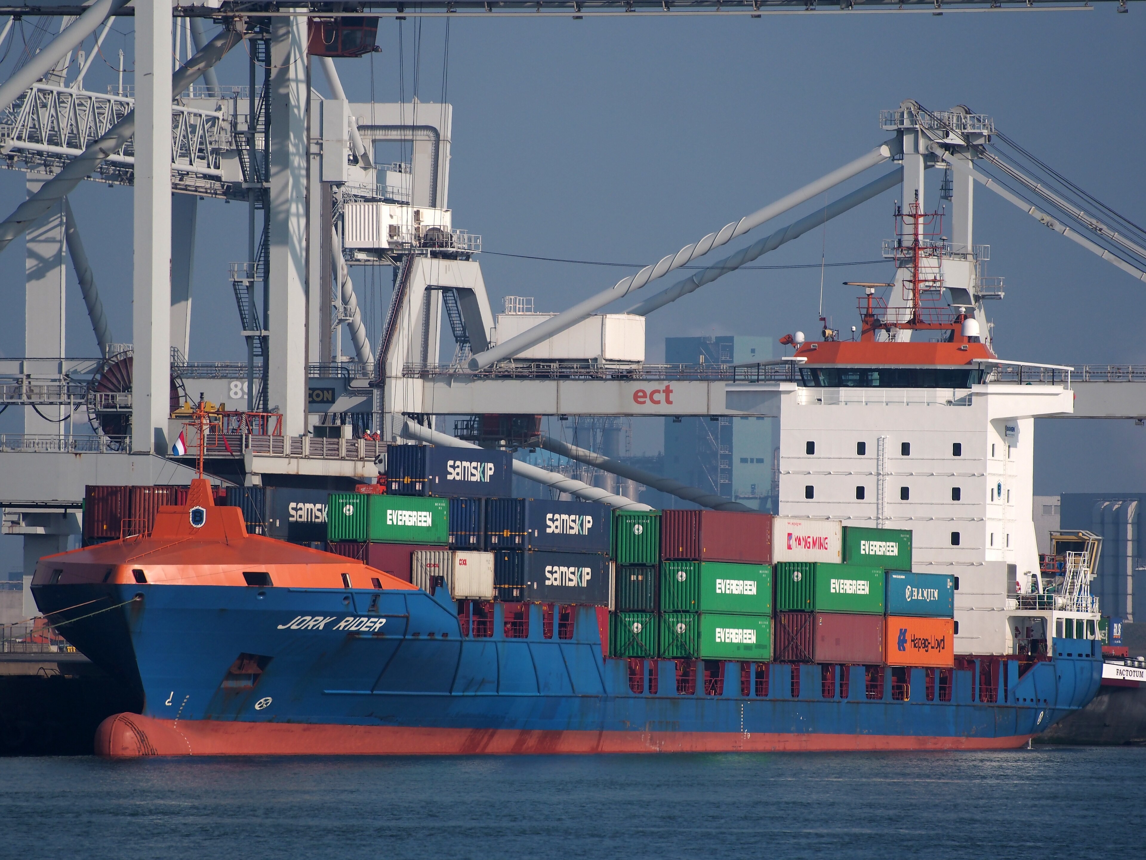 Thames Arrival: RIDER               