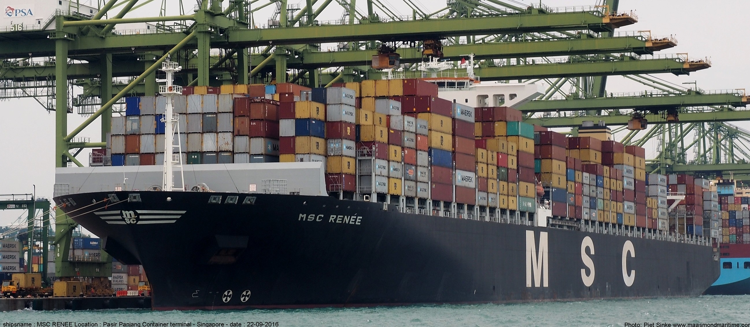 Transit: MSC RENEE XIII       entering English South Coast at The Dover Strait