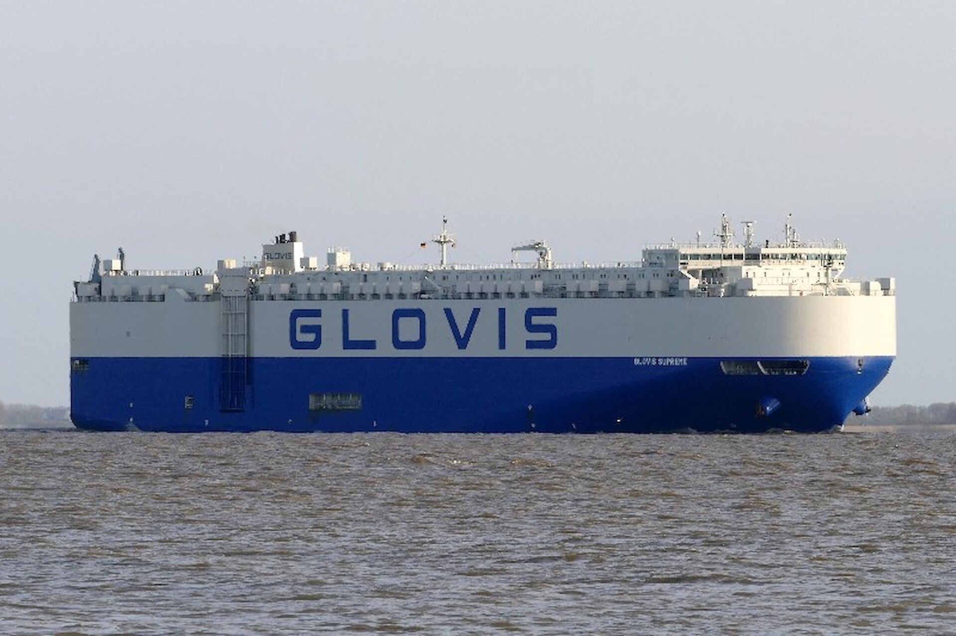 Teeside Departure: GLOVIS SUPREME      