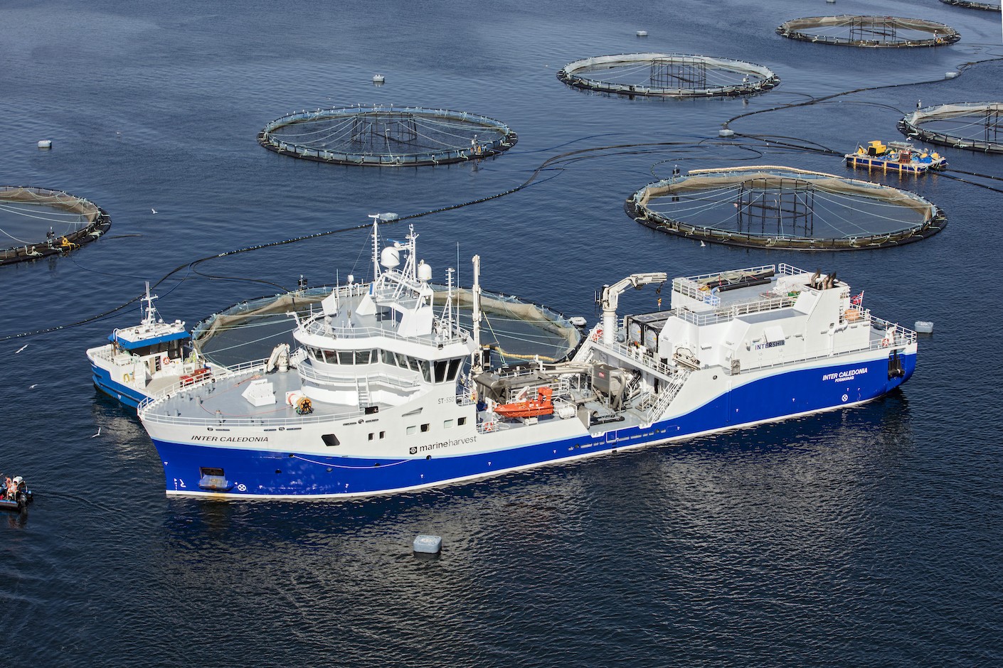  Scottish West Coast - INTER CALEDONIA      transiting The Minch