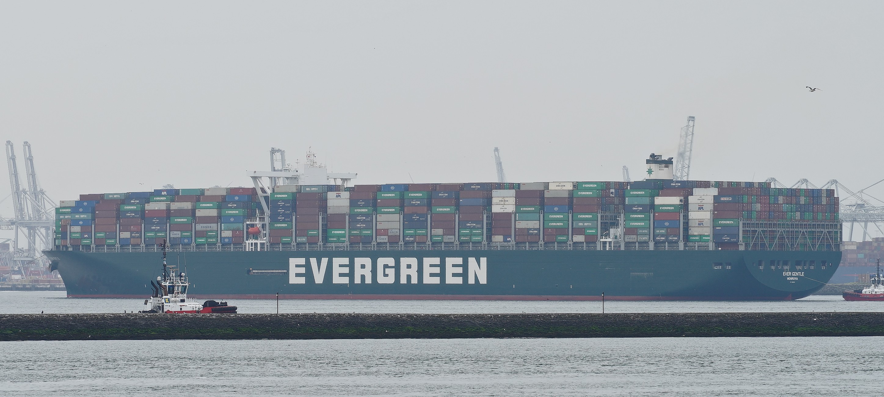 Felixstowe Departure: EVER GENTLE         