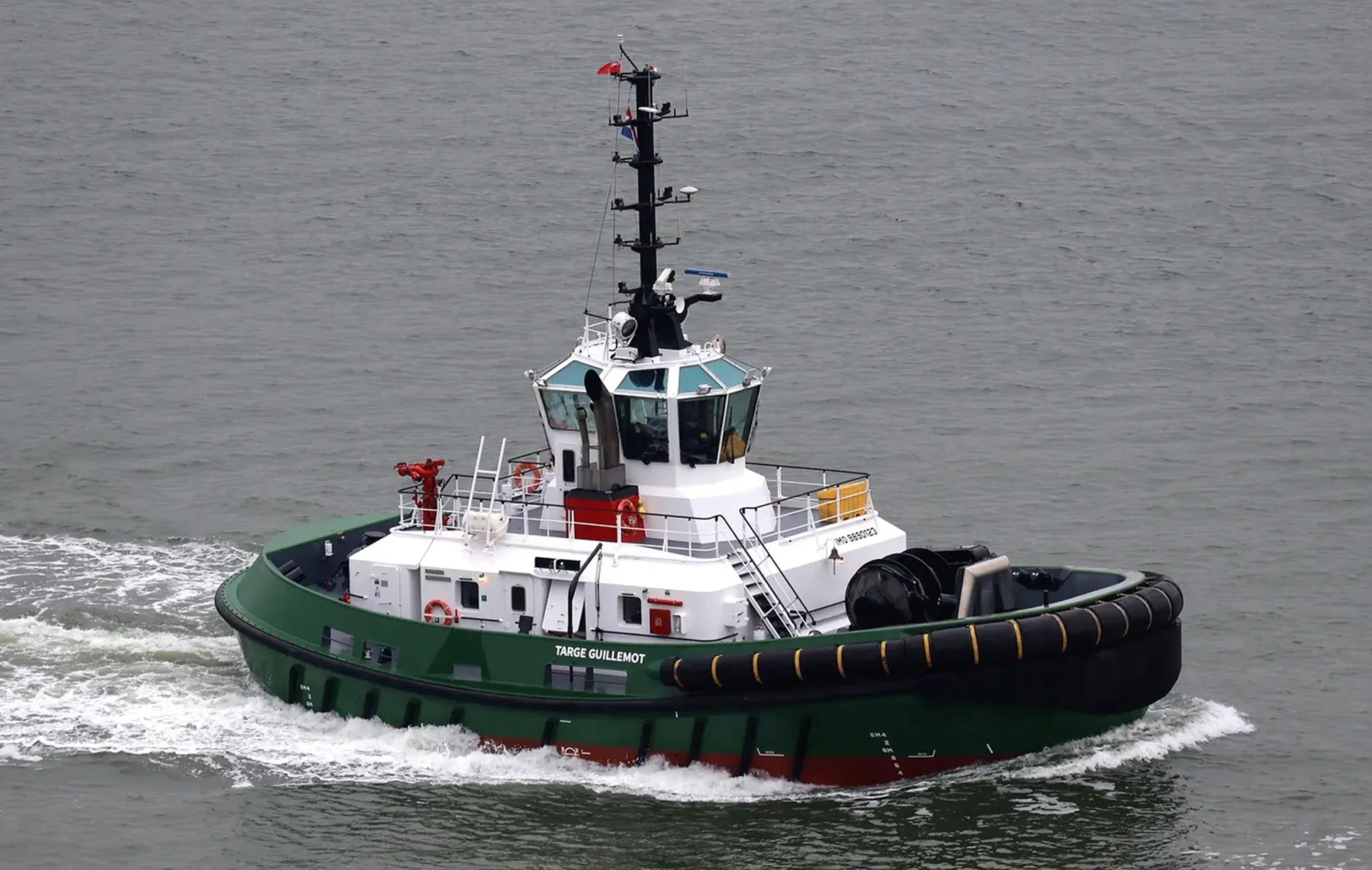 TARGE GUILLEMOT transiting Forth & Tay Coast on the Scottish East Coast  