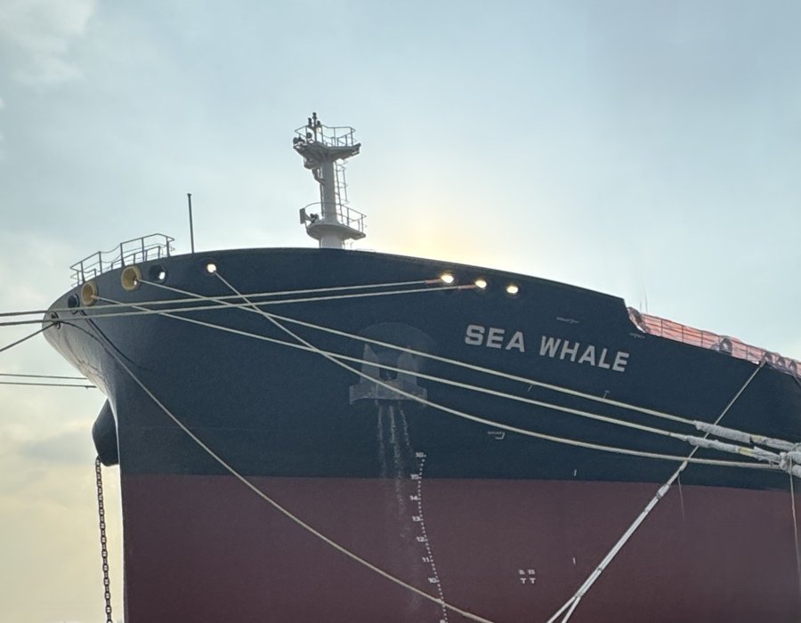 Transit: SEA WHALE            entering English South Coast at The Dover Strait