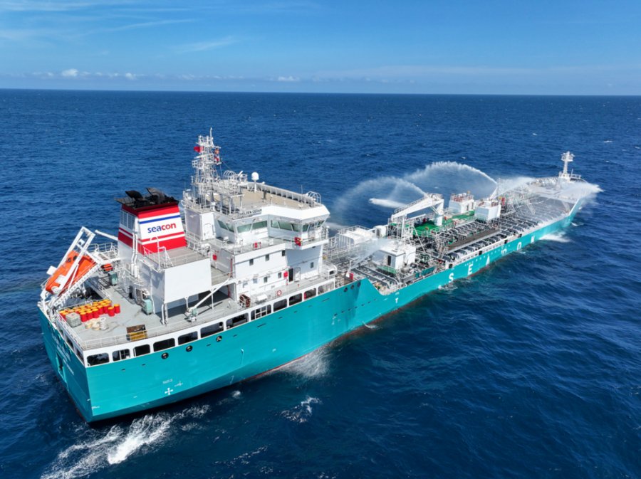 Humber Arrival: GOLDEN CEDAR        