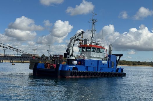 Felixstowe Arrival: WILLDISCOVER        