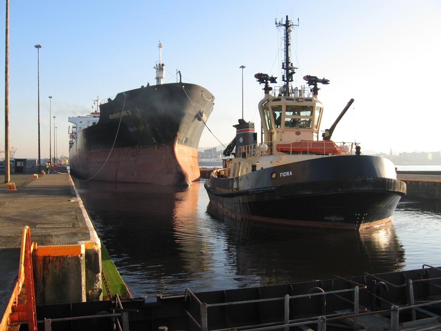  Scottish East Coast - FIDRA transiting Aberdeenshire Coast