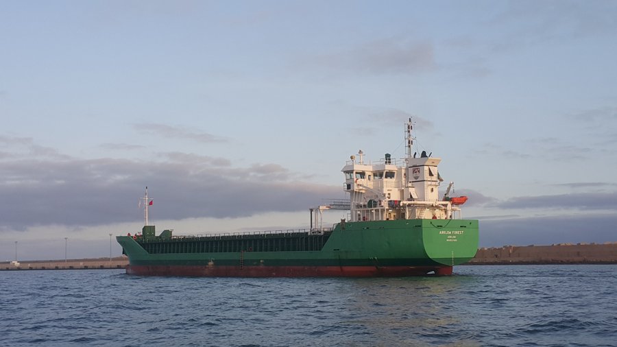 Mersey Arrival: ARKLOW FOREST