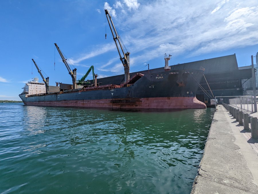 Photograph of the Bulk Carrier (Handysize): PUNA                 (IMO: 9546784). Documented in UK and Regional Shipping Movements.