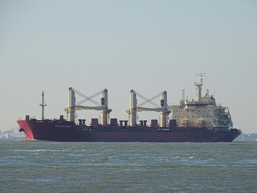 Photograph of the Bulk Carrier (Handysize): FEDERAL SWIFT        (IMO: 9595905). Documented in UK and Regional Shipping Movements.