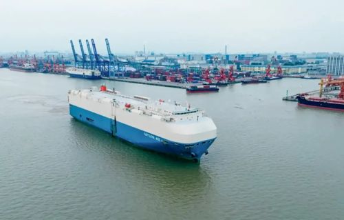 Photo of CATTLEYA ACE        